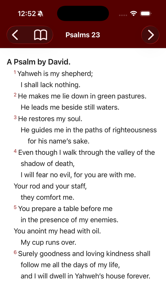 NanoBible showing Psalm 23 in the World English Bible, with verse numbers and the poetry indented